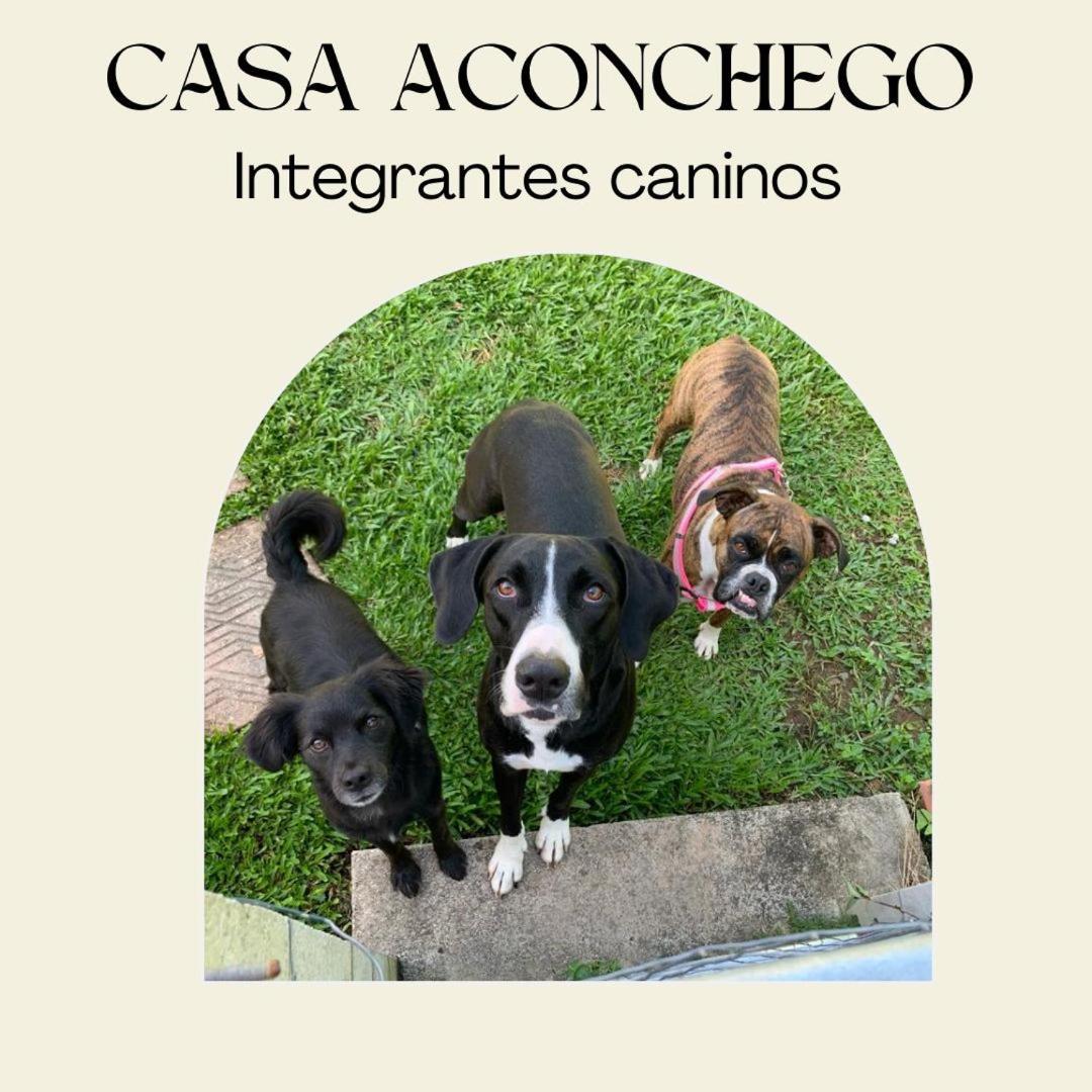 Casa Aconchego 345 Ao Lado Alles Park Pomerode Kültér fotó